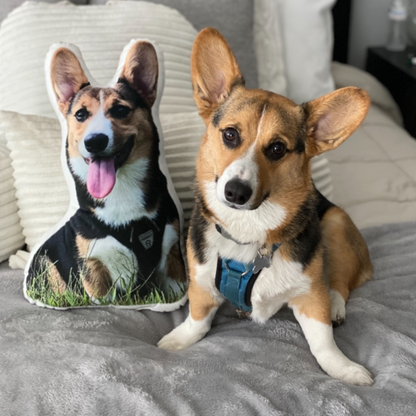 Corgi Custom Shaped Pillow