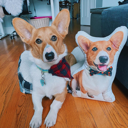 Corgi Custom Shaped Pillow
