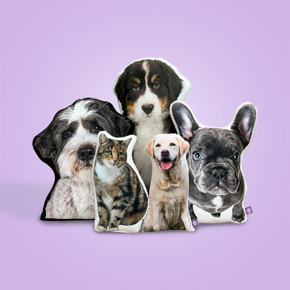 Custom Pet Pillow