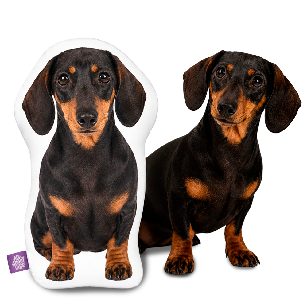 The Personalized Dachshund Gift They Will Never See Coming