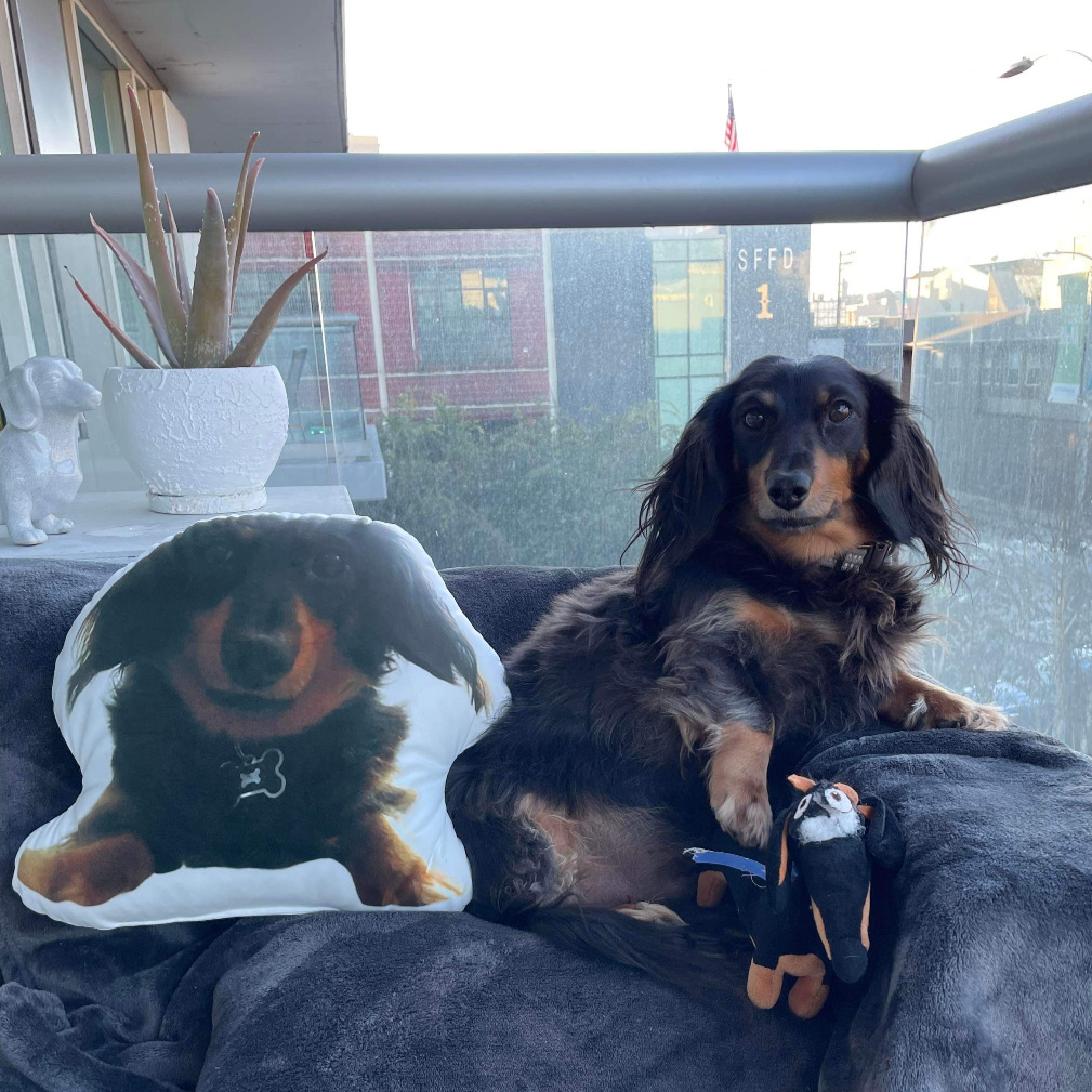 Dachshund Custom Shaped Pillow