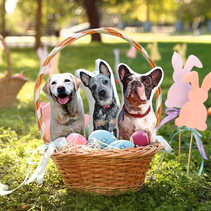 10" Ofertas Especiales de Canastas de Pascua