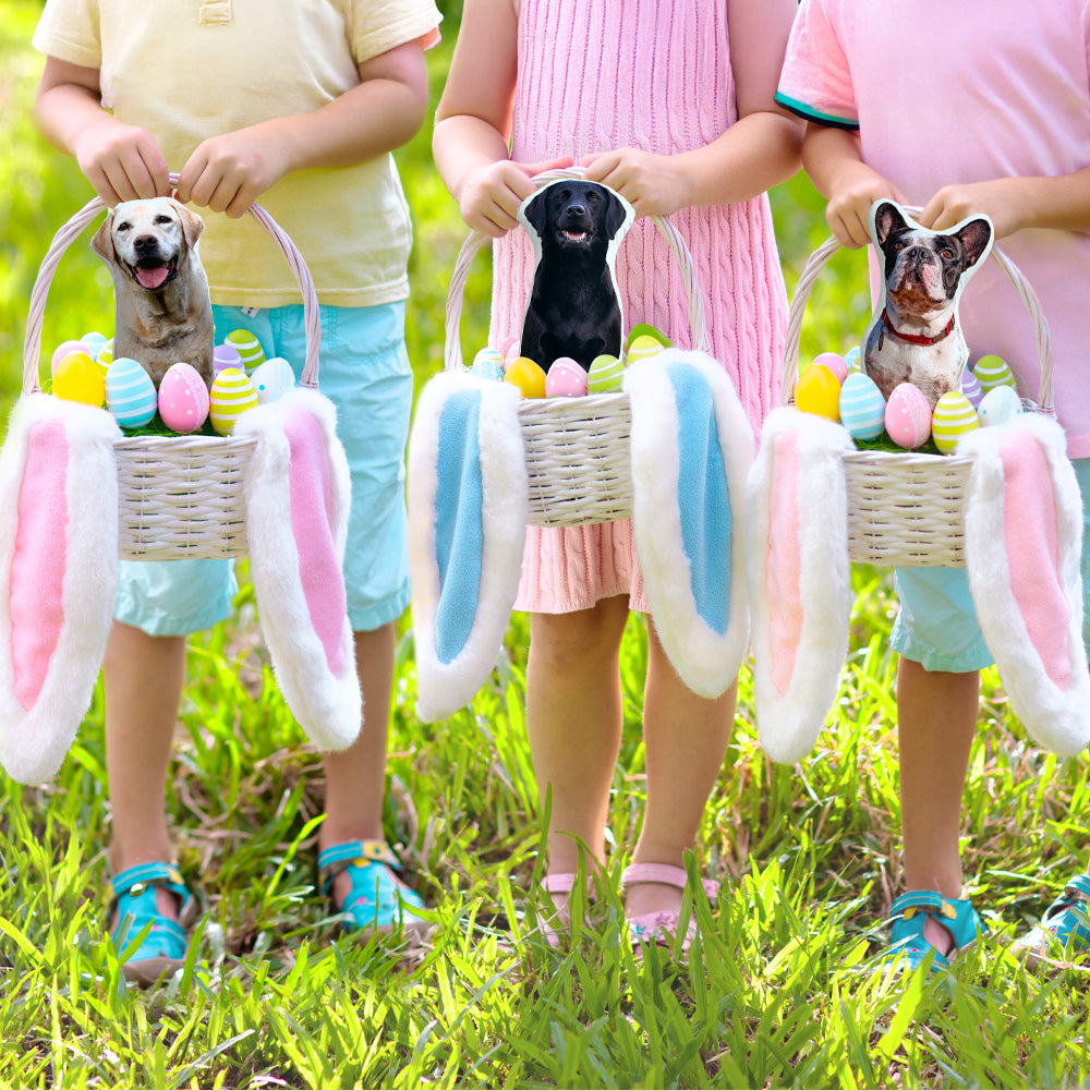 10" Ofertas Especiales de Canastas de Pascua