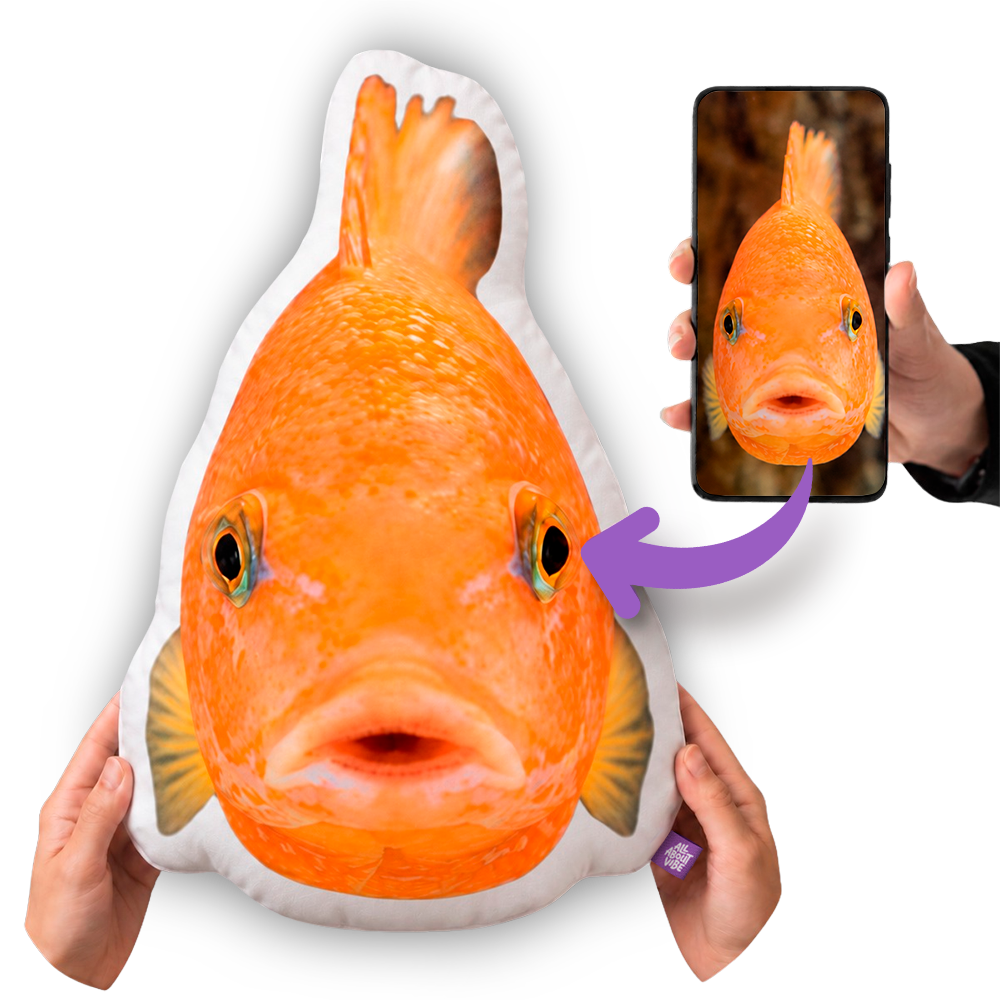 A Gift Fish Lovers Won't Forget