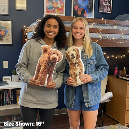 Custom Pet Pillow For Dorm Room