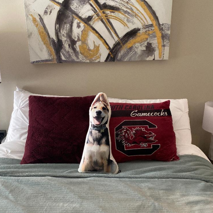 Almohada Personalizada con Forma de Husky