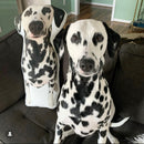 Dalmatian Custom Shaped Pillow