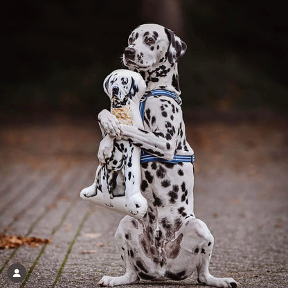 Dalmatian Custom Shaped Pillow