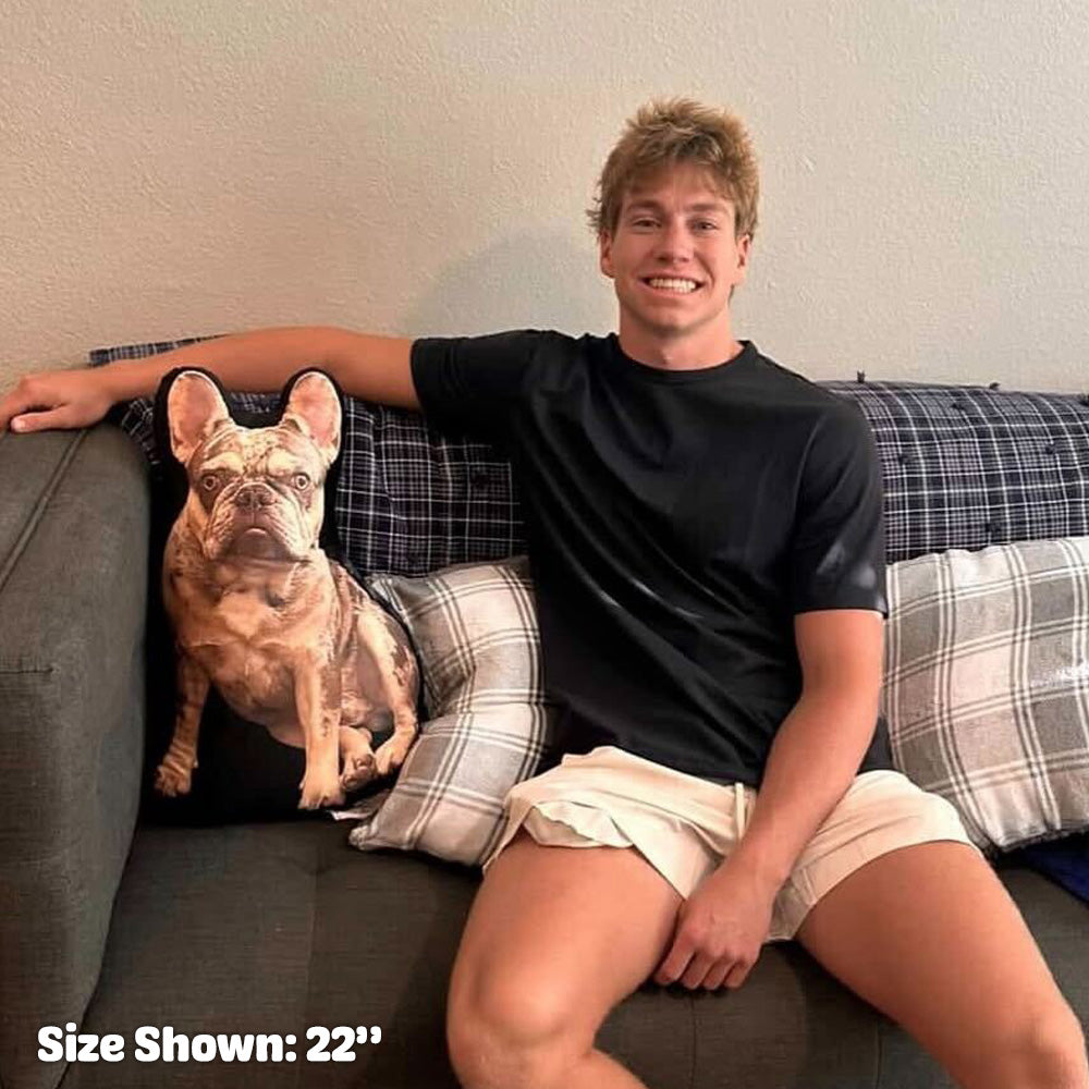 Custom Pet Pillow For Dorm Room