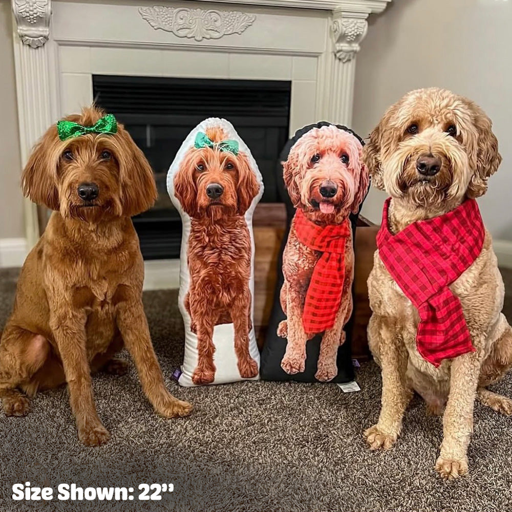 TURN YOUR DOG’S PHOTO INTO A GIFT FULL OF COMFORT