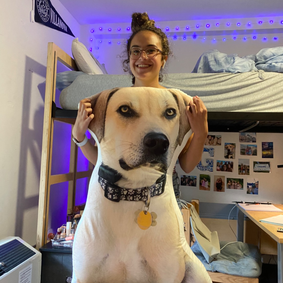 Labrador Retriever Custom Shaped Pillow