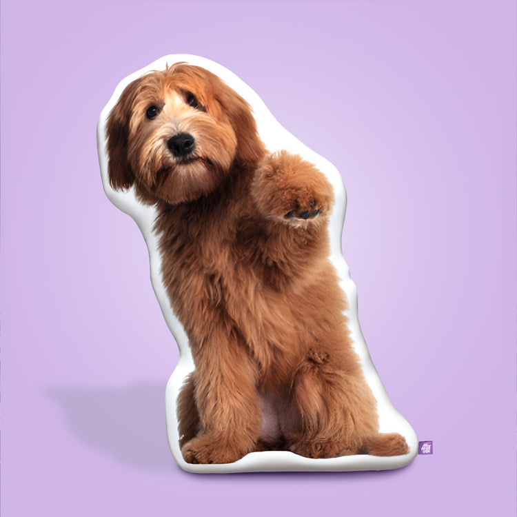 60" Giant Custom Pet Pillow