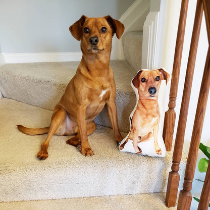 Miniature Pinscher Custom Shaped Pillow