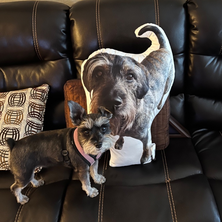 Almohada Personalizada con Forma de Schnauzer Miniatura