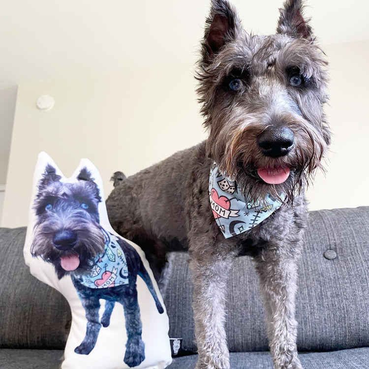 Almohada Personalizada con Forma de Schnauzer Miniatura