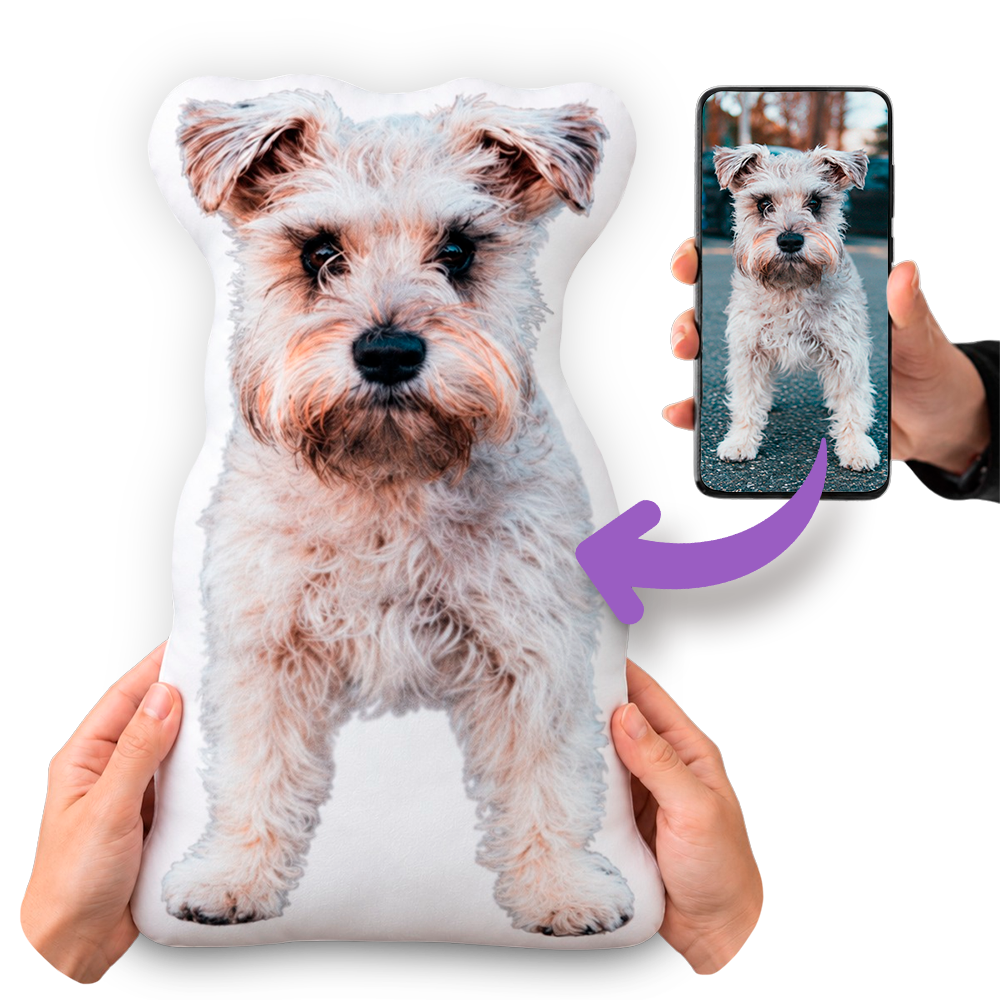 A Personalized Schnauzer Gift for Every Occasion