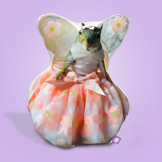 Momo the Squirrel Pillow