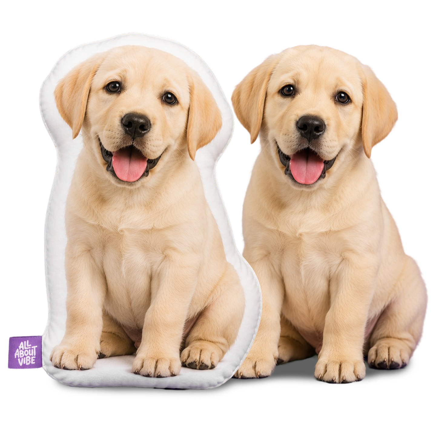 A Personalized Pet Gift That Fits Every Occasion