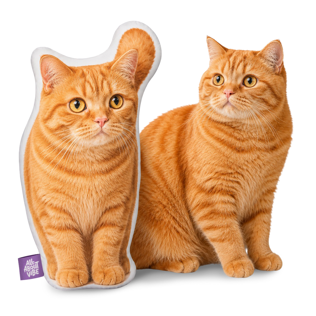 The Perfect Personalized Orange Cat Gift for Every Occasion