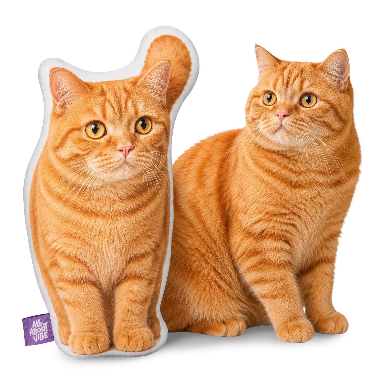 The Perfect Personalized Orange Cat Gift for Every Occasion