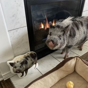 Pig Custom Shaped Pillow