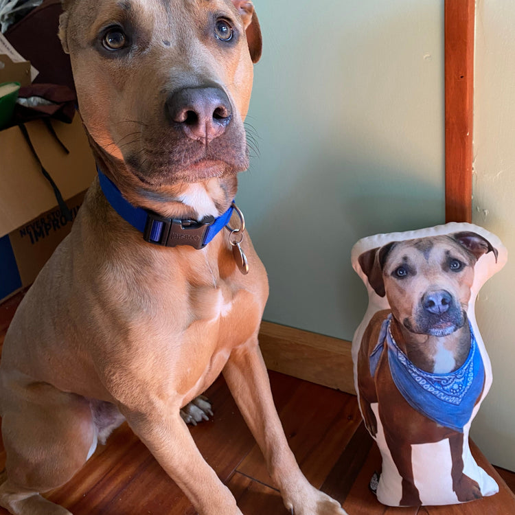 Almohada Personalizada con Forma de Pitbull