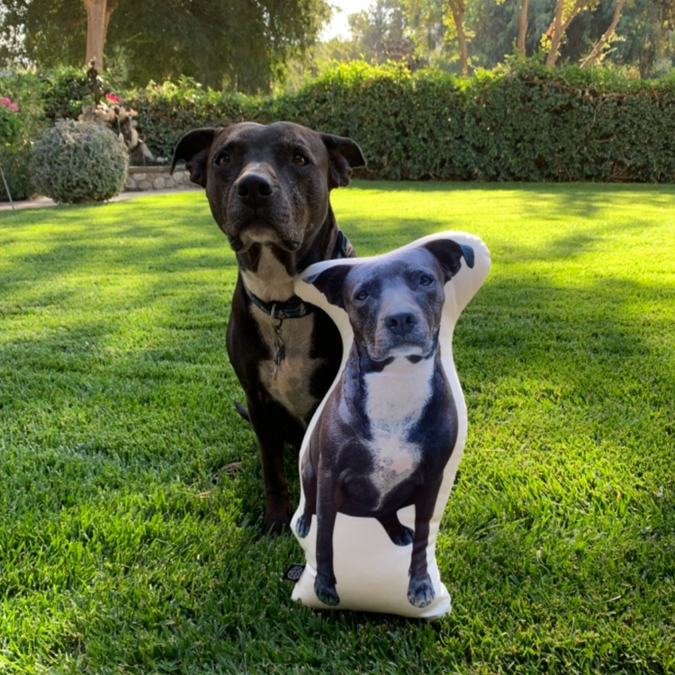 Almohada Personalizada con Forma de Pitbull
