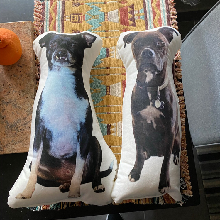 Almohada Personalizada con Forma de Pitbull