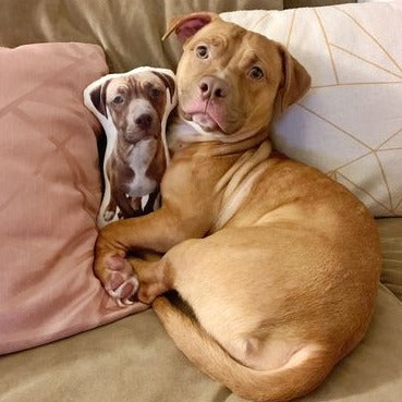 Almohada Personalizada con Forma de Pitbull