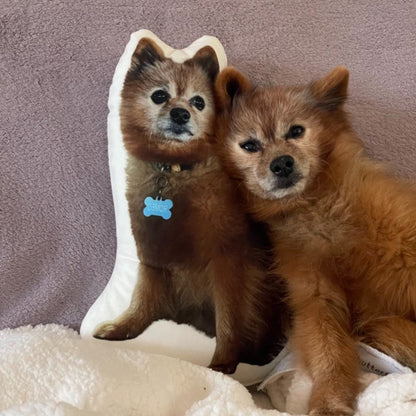 Pomeranian Custom Shaped Pillow