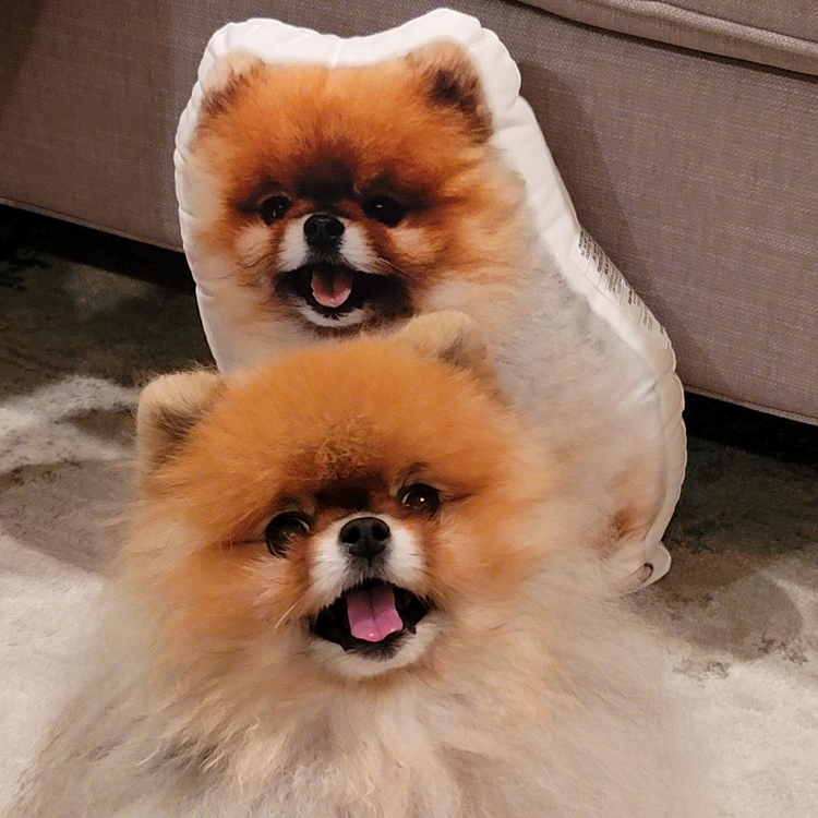 Almohada Personalizada con Forma de Pomerania