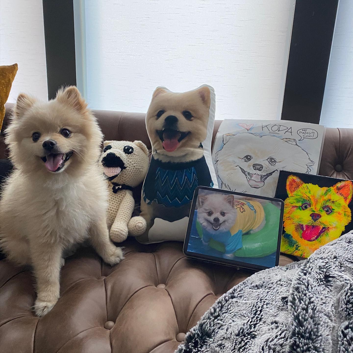 Pomeranian Custom Shaped Pillow