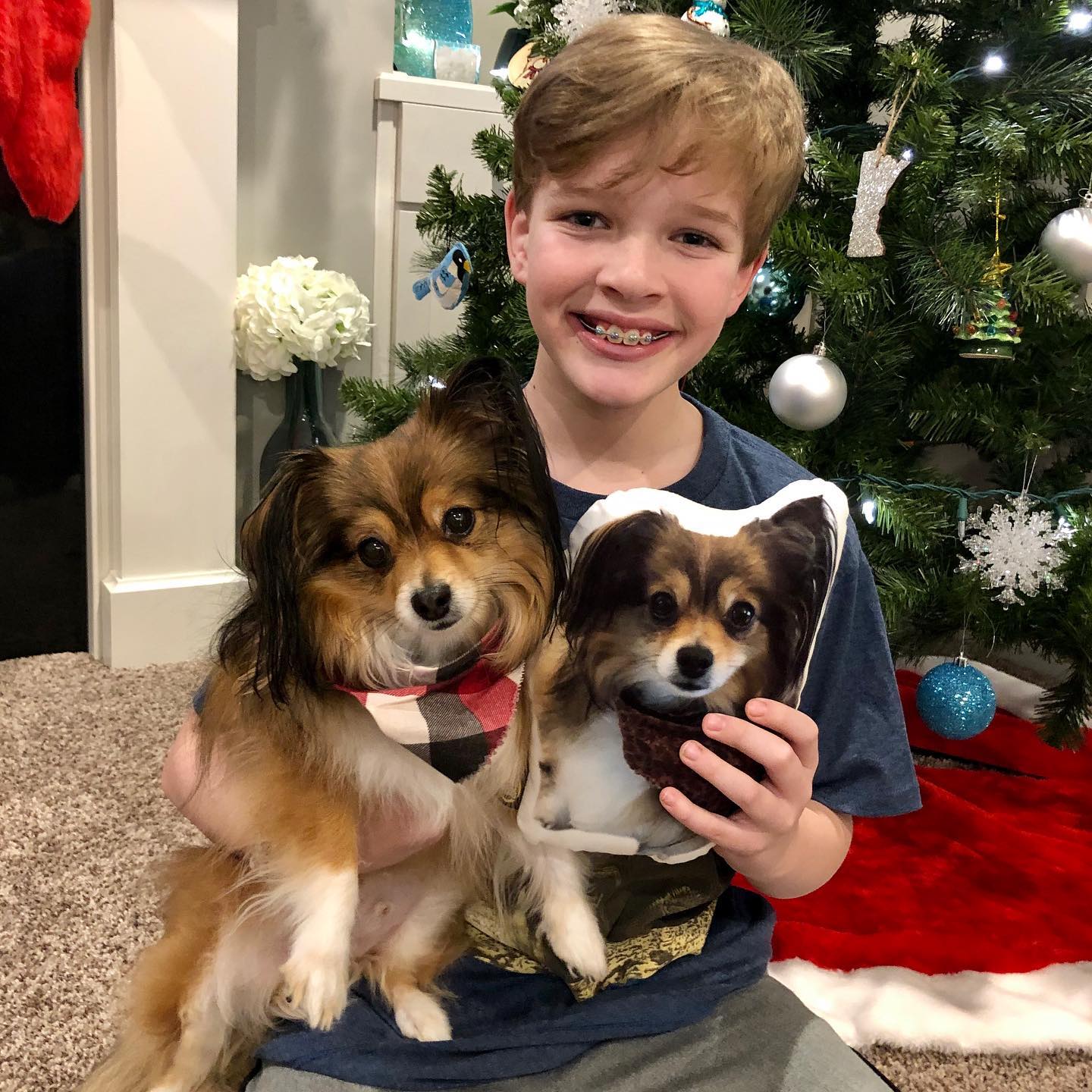 Pomeranian Custom Shaped Pillow