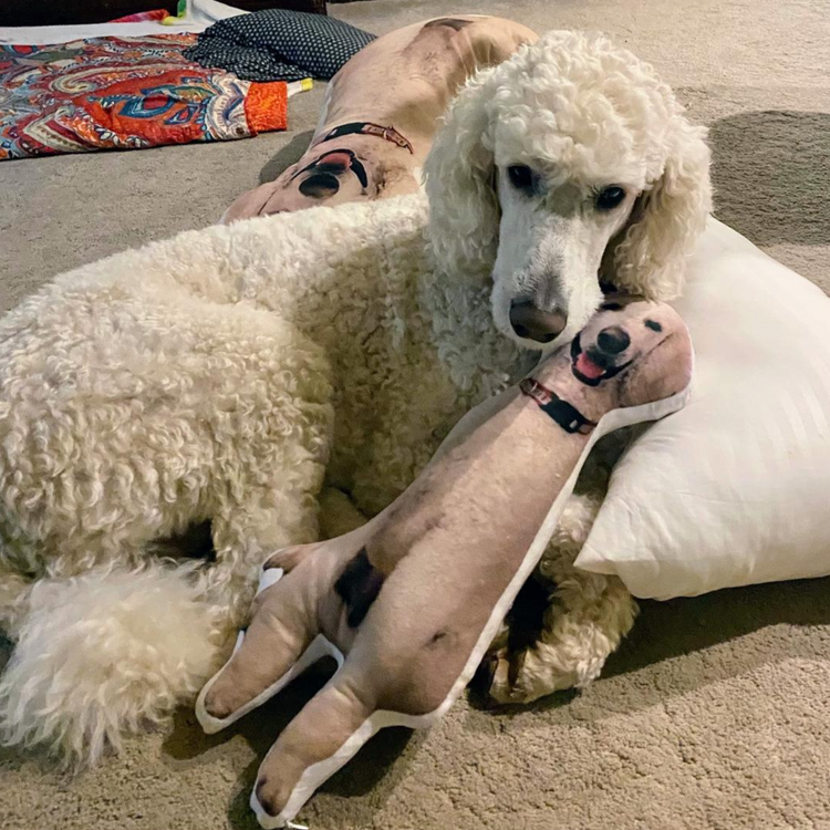 Almohada Personalizada con Forma de Caniche