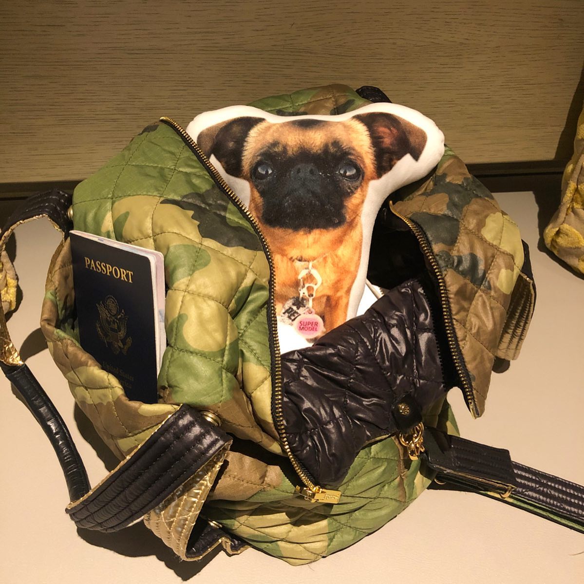 Pug Custom Shaped Pillow