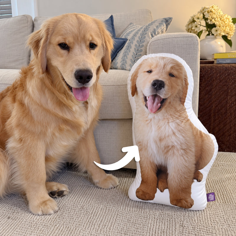 A Keepsake for the Puppy Who Is Still Here, and the One Who Is Not