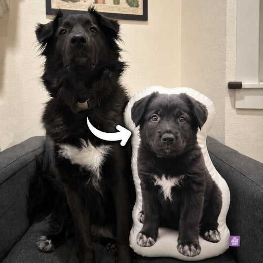 Size: Small