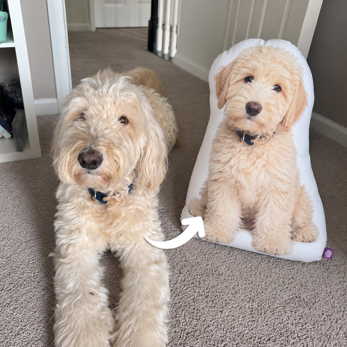 Two photos in one pillow