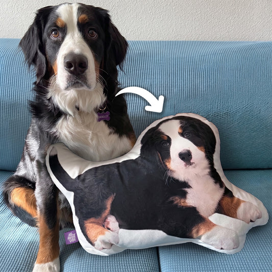 Size: Small