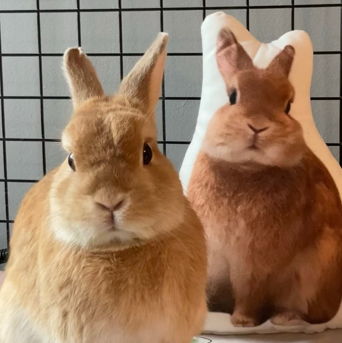 Rabbit Custom Shaped Pillow