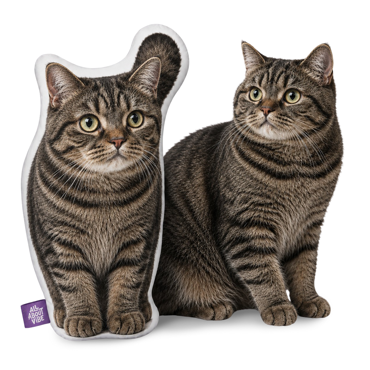The Perfect Personalized Tabby Cat Gift for Every Occasion