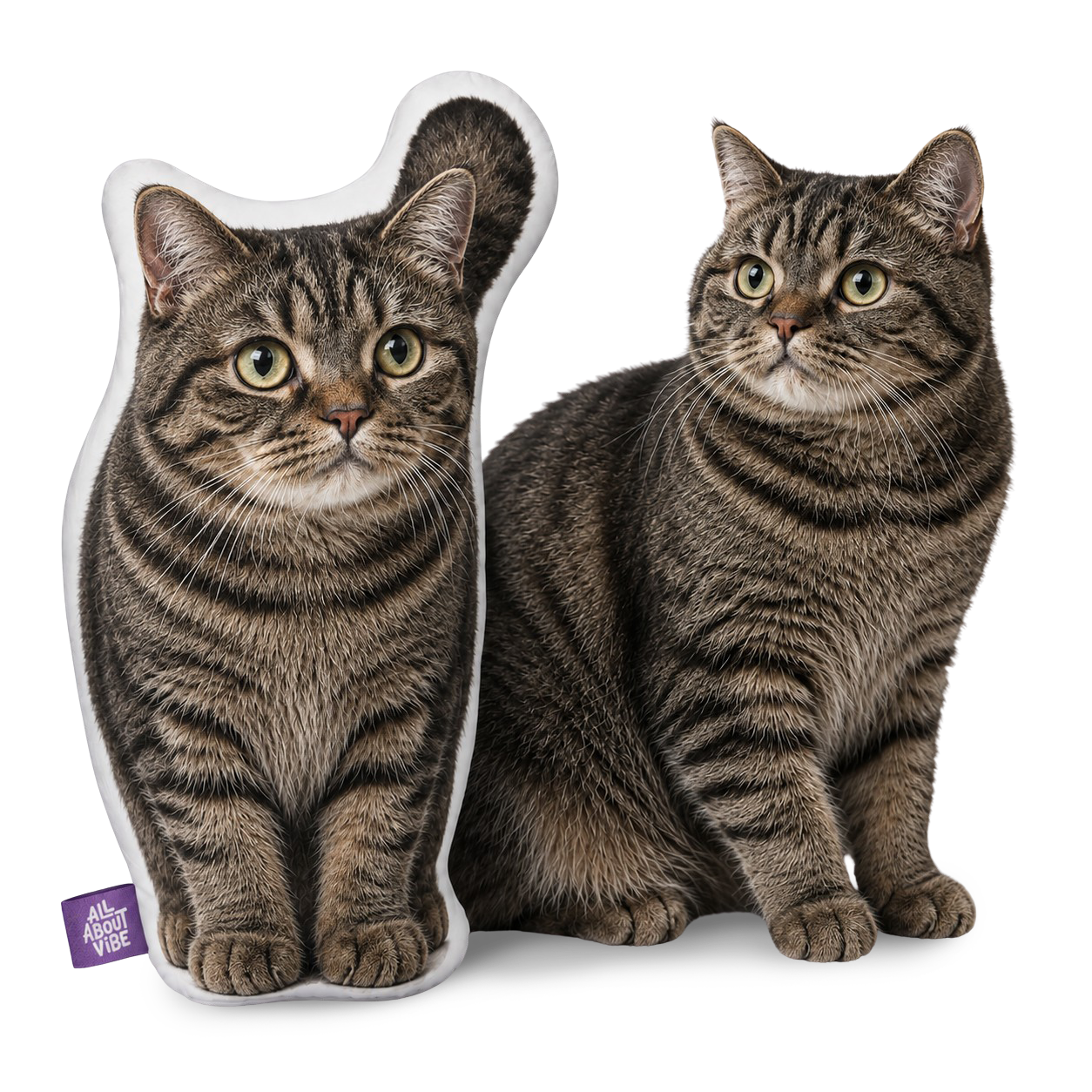 The Perfect Personalized Tabby Cat Gift for Every Occasion