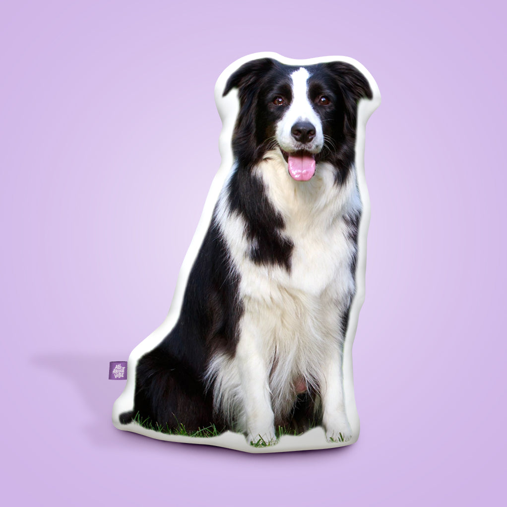 Border Collie Throw Pillows