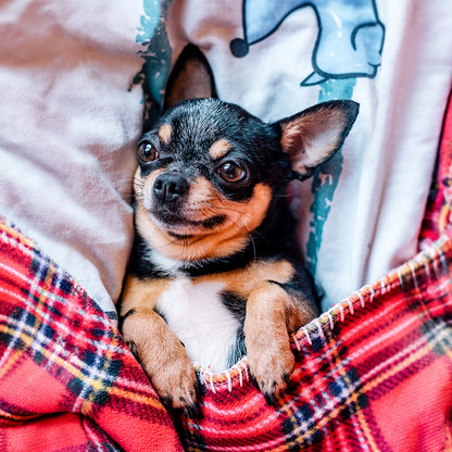 10" Mini Almohada Personalizada en Forma