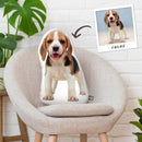 Beagle Custom Shaped Pillow