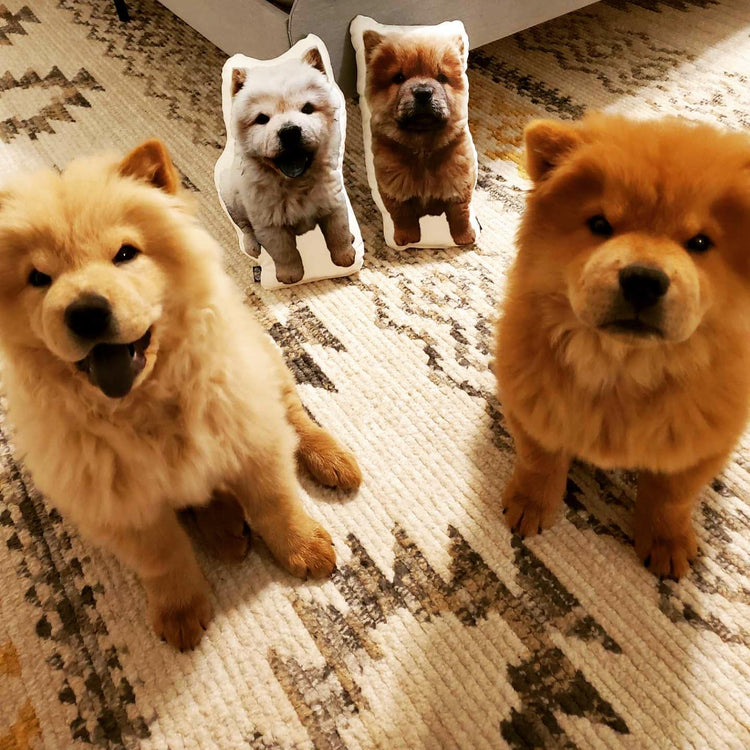 Chow Chow Custom Shaped Pillow