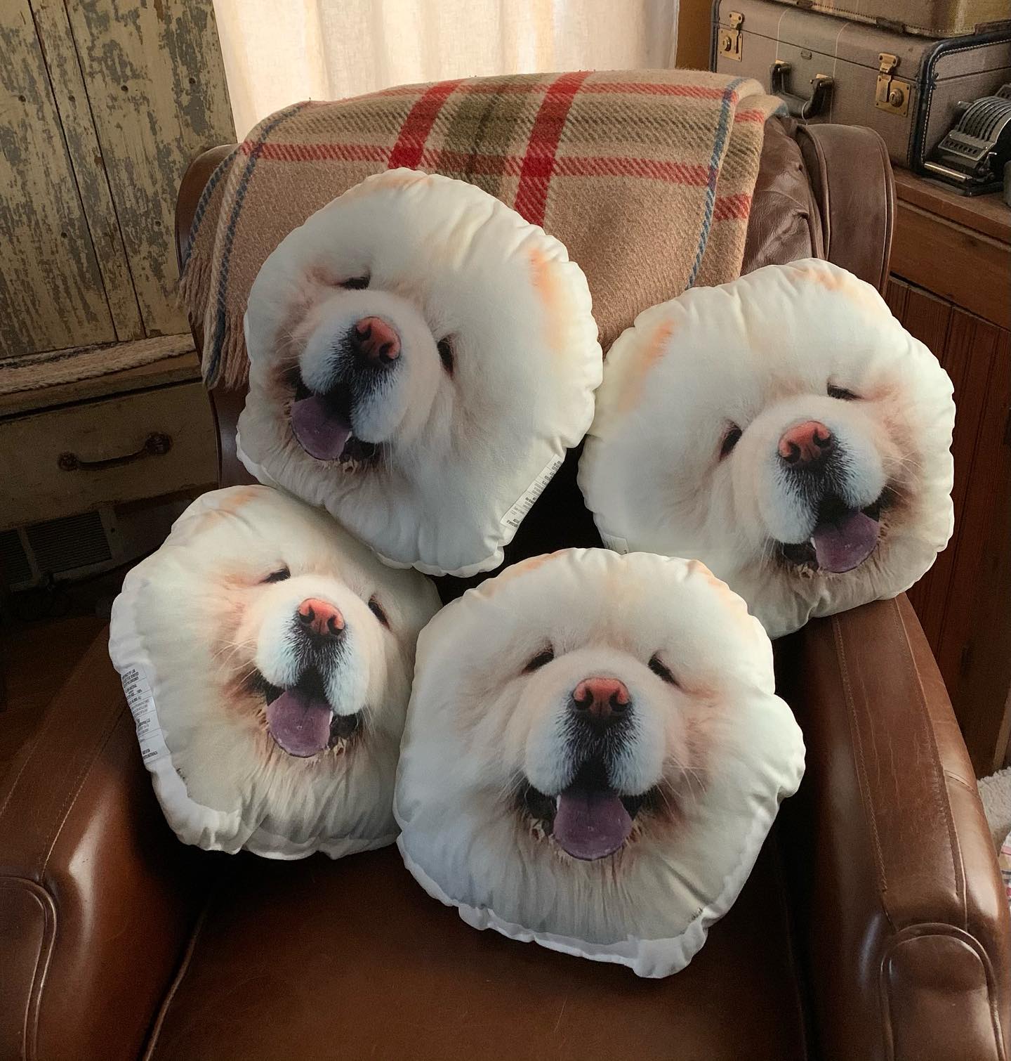 Chow Chow Custom Shaped Pillow