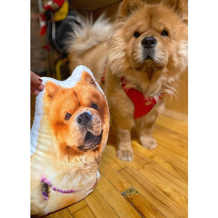 Chow Chow Custom Shaped Pillow