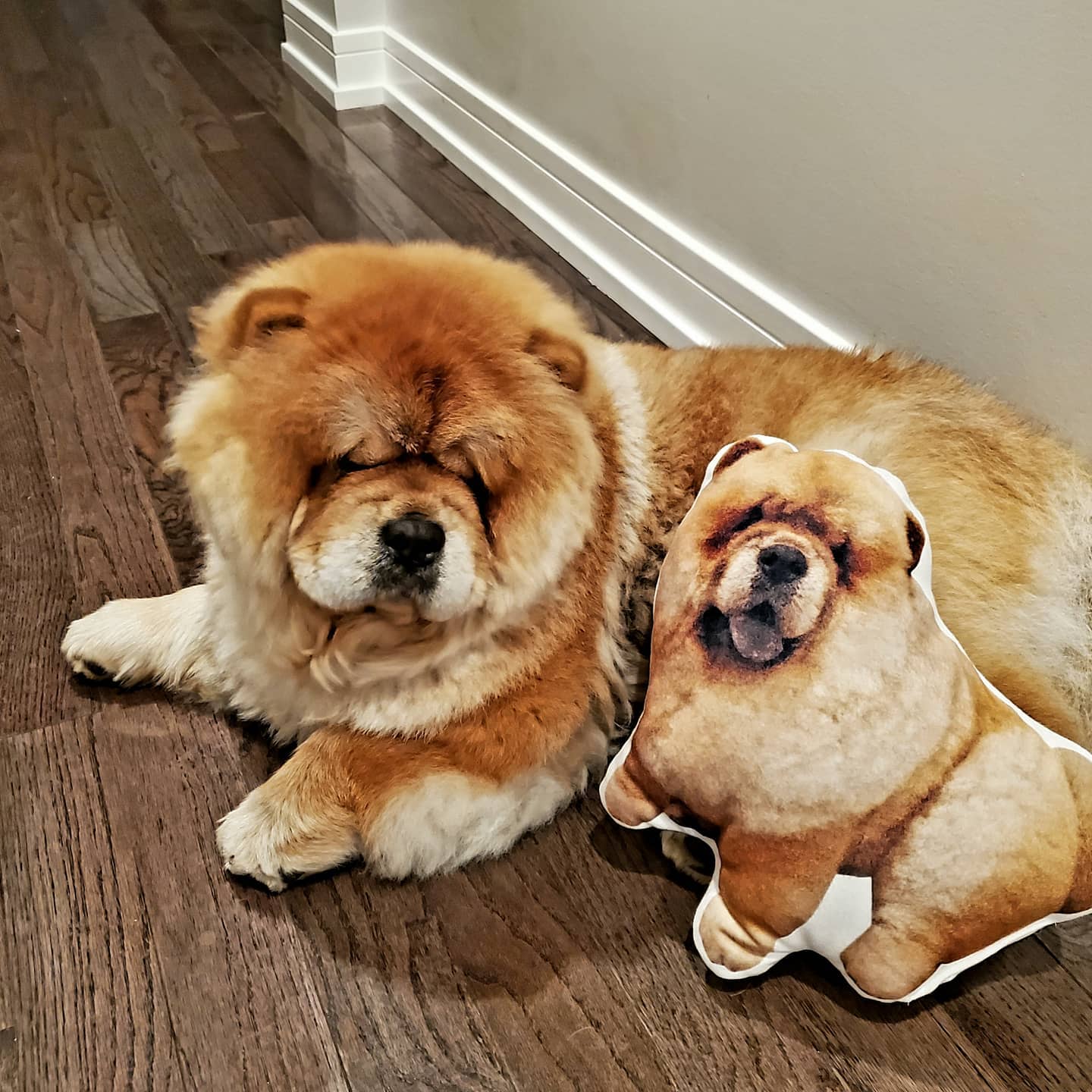 Chow Chow Custom Shaped Pillow