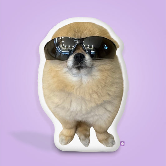 Kool Kori™ – The Coolest Pom Pillow